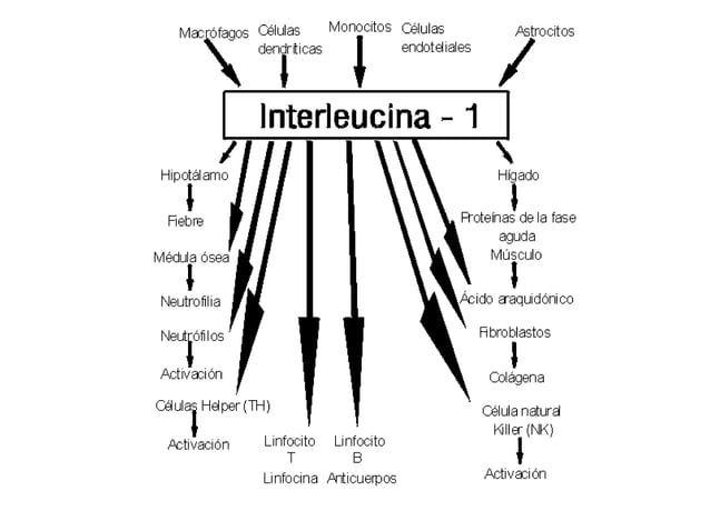 Interleucinas | PPTX