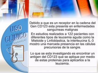 Debido a que es un receptor en la cadena del
Gen CD123 esta presente en enfermedades
sanguíneas malignas
En estudios realizados a 122 pacientes con
diferentes tipos de leucemia aguda como la
Mieloide y Linfoblastica, la interleucina IL-3
mostro una marcada presencia en las células
precursoras de la sangre.
Lo que se esta investigando es encontrar un
antigen del CD123 que se aplique por medio
de estas proteinas para aplicarlos a la
leucemia.
 