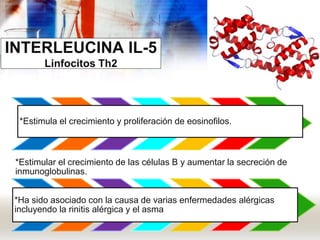 INTERLEUCINA IL-5
Linfocitos Th2
*Estimula el crecimiento y proliferación de eosinofilos.
*Estimular el crecimiento de las células B y aumentar la secreción de
inmunoglobulinas.
*Ha sido asociado con la causa de varias enfermedades alérgicas
incluyendo la rinitis alérgica y el asma
 