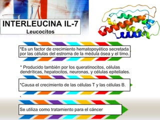 INTERLEUCINA IL-7
Leucocitos
*Es un factor de crecimiento hematopoyético secretada
por las células del estroma de la médula ósea y el timo.
* Producido también por los queratinocitos, células
dendríticas, hepatocitos, neuronas, y células epiteliales.
*Causa el crecimiento de las células T y las células B.
*
Se utiliza como tratamiento para el cáncer
 