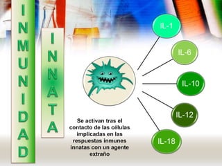 IL-1
IL-6
IL-10
IL-12
IL-18
Se activan tras el
contacto de las células
implicadas en las
respuestas inmunes
innatas con un agente
extraño
 