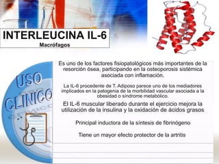 INTERLEUCINA IL-6
Macrófagos
Es uno de los factores fisiopatológicos más importantes de la
resorción ósea, participando en la osteoporosis sistémica
asociada con inflamación.
La IL-6 procedente de T. Adiposo parece uno de los mediadores
implicados en la patogenia de la morbilidad vascular asociada a la
obesidad o síndrome metabólico.
El IL-6 muscular liberado durante el ejercicio mejora la
utilización de la insulina y la oxidación de ácidos grasos
Principal inductora de la síntesis de fibrinógeno
Tiene un mayor efecto protector de la artritis
 