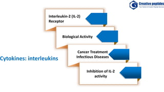 Biological Activity
Cancer Treatment
Infectious Diseases
Inhibition of IL-2
activity
Cytokines: interleukins
Interleukin-2 (IL-2)
Receptor
 