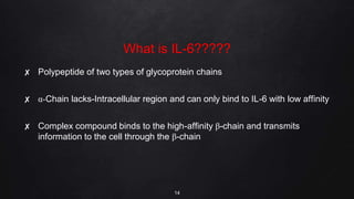 What is IL-6?????
✘ Polypeptide of two types of glycoprotein chains
✘ α-Chain lacks-Intracellular region and can only bind to IL-6 with low affinity
✘ Complex compound binds to the high-affinity β-chain and transmits
information to the cell through the β-chain
14
 