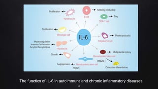 The function of IL-6 in autoimmune and chronic inflammatory diseases
17
 