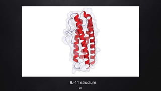 IL-11 structure
20
 