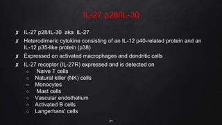 IL-27 p28/IL-30
✘ IL-27 p28/IL-30 aka IL-27
✘ Heterodimeric cytokine consisting of an IL-12 p40-related protein and an
IL-12 p35-like protein (p38)
✘ Expressed on activated macrophages and dendritic cells
✘ IL‐27 receptor (IL-27R) expressed and is detected on
○ Naive T cells
○ Natural killer (NK) cells
○ Monocytes
○ Mast cells
○ Vascular endothelium
○ Activated B cells
○ Langerhans' cells
21
 