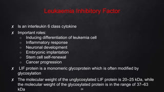 Leukaemia Inhibitory Factor
✘ Is an interleukin 6 class cytokine
✘ Important roles:
○ Inducing differentiation of leukemia cell
○ Inflammatory response
○ Neuronal development
○ Embryonic implantation
○ Stem cell self-renewal
○ Cancer progression
✘ LIF protein is a monomeric glycoprotein which is often modified by
glycosylation
✘ The molecular weight of the unglycosylated LIF protein is 20–25 kDa, while
the molecular weight of the glycosylated protein is in the range of 37–63
kDa 24
 