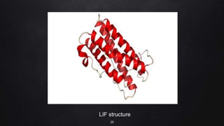 LIF structure
25
 