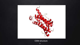 OSM structure
27
 