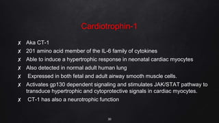 Cardiotrophin-1
✘ Aka CT-1
✘ 201 amino acid member of the IL-6 family of cytokines
✘ Able to induce a hypertrophic response in neonatal cardiac myocytes
✘ Also detected in normal adult human lung
✘ Expressed in both fetal and adult airway smooth muscle cells.
✘ Activates gp130 dependent signaling and stimulates JAK/STAT pathway to
transduce hypertrophic and cytoprotective signals in cardiac myocytes.
✘ CT-1 has also a neurotrophic function
30
 