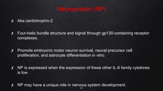 Neuropoietin (NP)
✘ Aka cardiotrophin-2
✘ Four-helix bundle structure and signal through gp130-containing receptor
complexes.
✘ Promote embryonic motor neuron survival, neural precursor cell
proliferation, and astrocyte differentiation in vitro.
✘ NP is expressed when the expression of these other IL-6 family cytokines
is low
✘ NP may have a unique role in nervous system development.
31
 