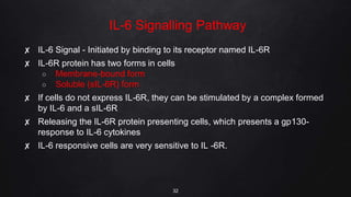 IL-6 Signalling Pathway
✘ IL-6 Signal - Initiated by binding to its receptor named IL-6R
✘ IL-6R protein has two forms in cells
○ Membrane-bound form
○ Soluble (sIL-6R) form
✘ If cells do not express IL-6R, they can be stimulated by a complex formed
by IL-6 and a sIL-6R
✘ Releasing the IL-6R protein presenting cells, which presents a gp130-
response to IL-6 cytokines
✘ IL-6 responsive cells are very sensitive to IL -6R.
32
 