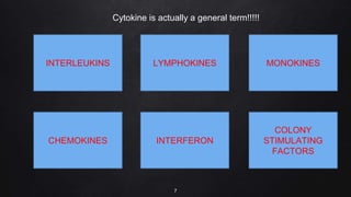 7
Cytokine is actually a general term!!!!!
INTERLEUKINS
COLONY
STIMULATING
FACTORS
INTERFERON
CHEMOKINES
LYMPHOKINES MONOKINES
 