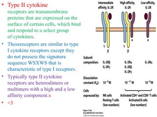 • Type II cytokine
receptors are transmembrane
proteins that are expressed on the
surface of certain cells, which bind
and respond to a select group
of cytokines.
• Thesereceptors are similar to type
I cytokine receptors except they
do not possess the signature
sequence WSXWS that is
characteristic of type I receptors.
• Typically type II cytokine
receptors are heterodimers or
multimers with a high and a low
affinity component.s
• +3
 