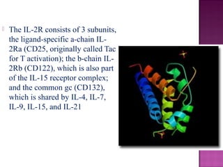  The IL-2R consists of 3 subunits,
the ligand-specific a-chain IL-
2Ra (CD25, originally called Tac
for T activation); the b-chain IL-
2Rb (CD122), which is also part
of the IL-15 receptor complex;
and the common gc (CD132),
which is shared by IL-4, IL-7,
IL-9, IL-15, and IL-21
 
