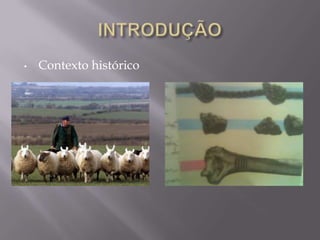 Interligados   Apresentação 1