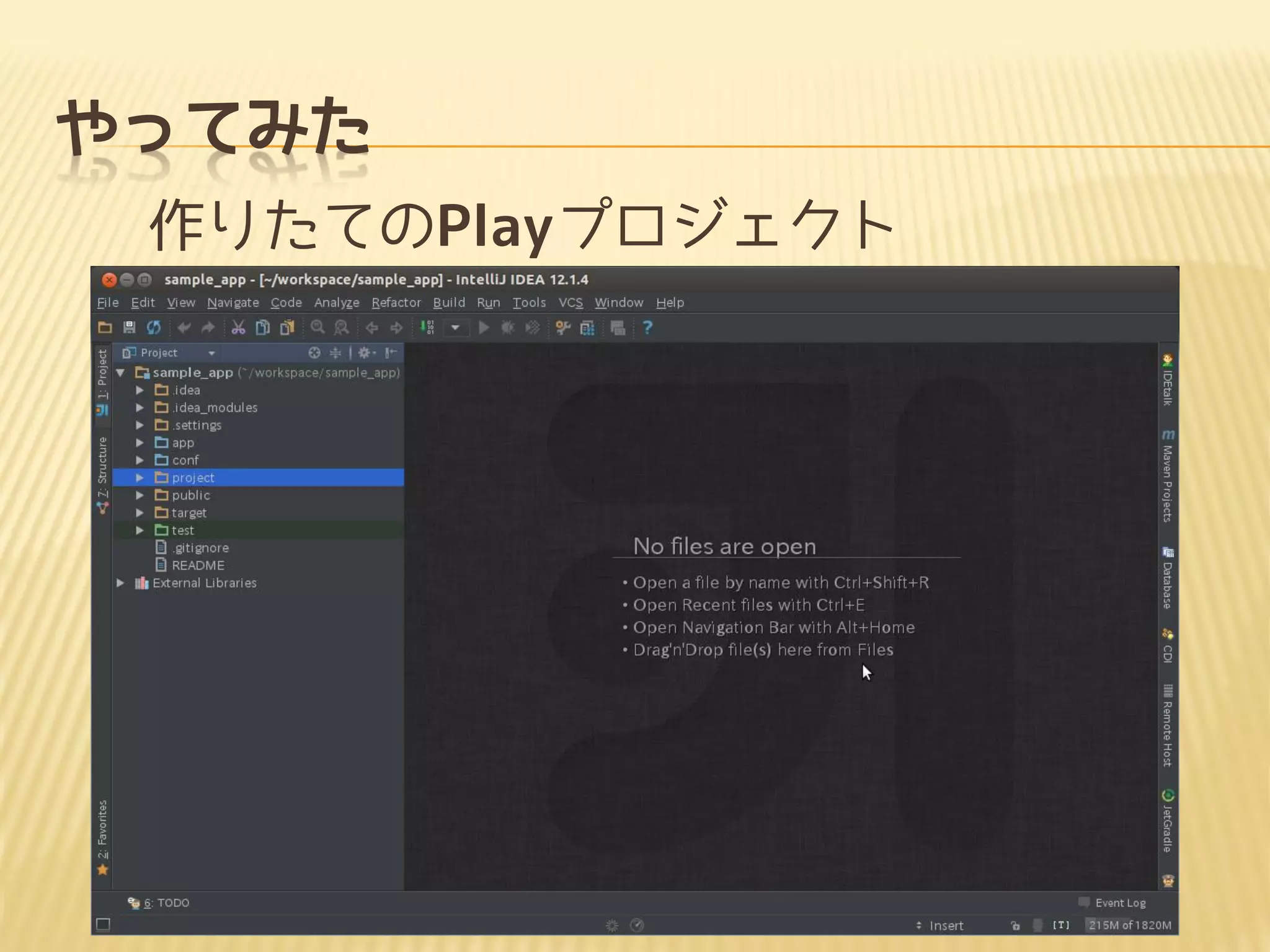 やってみた
作りたてのPlayプロジェクト
 