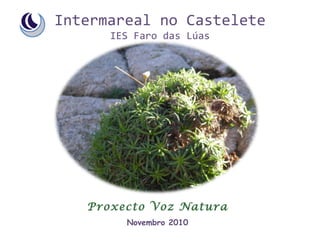 Intermareal no Castelete IES Faro das Lúas Proxecto Voz Natura Novembro 2010 