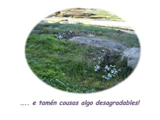 … .. e tamén cousas algo desagradables! 