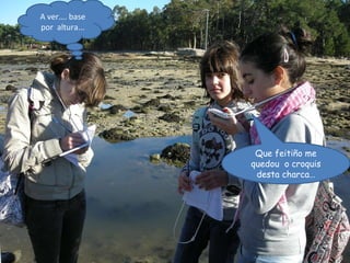 Que feitiño me quedou  o croquis desta charca… A ver…. base por  altura... 