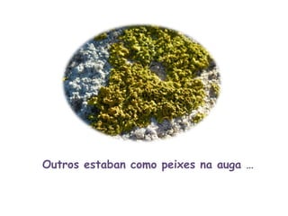 Outros estaban como peixes na auga … 
