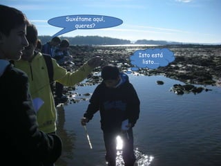 Suxétame aquí, queres? Isto está listo…. 