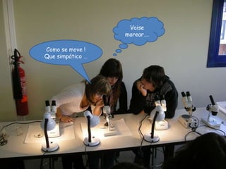 Como se move ! Que simpático … Vaise marear…. 