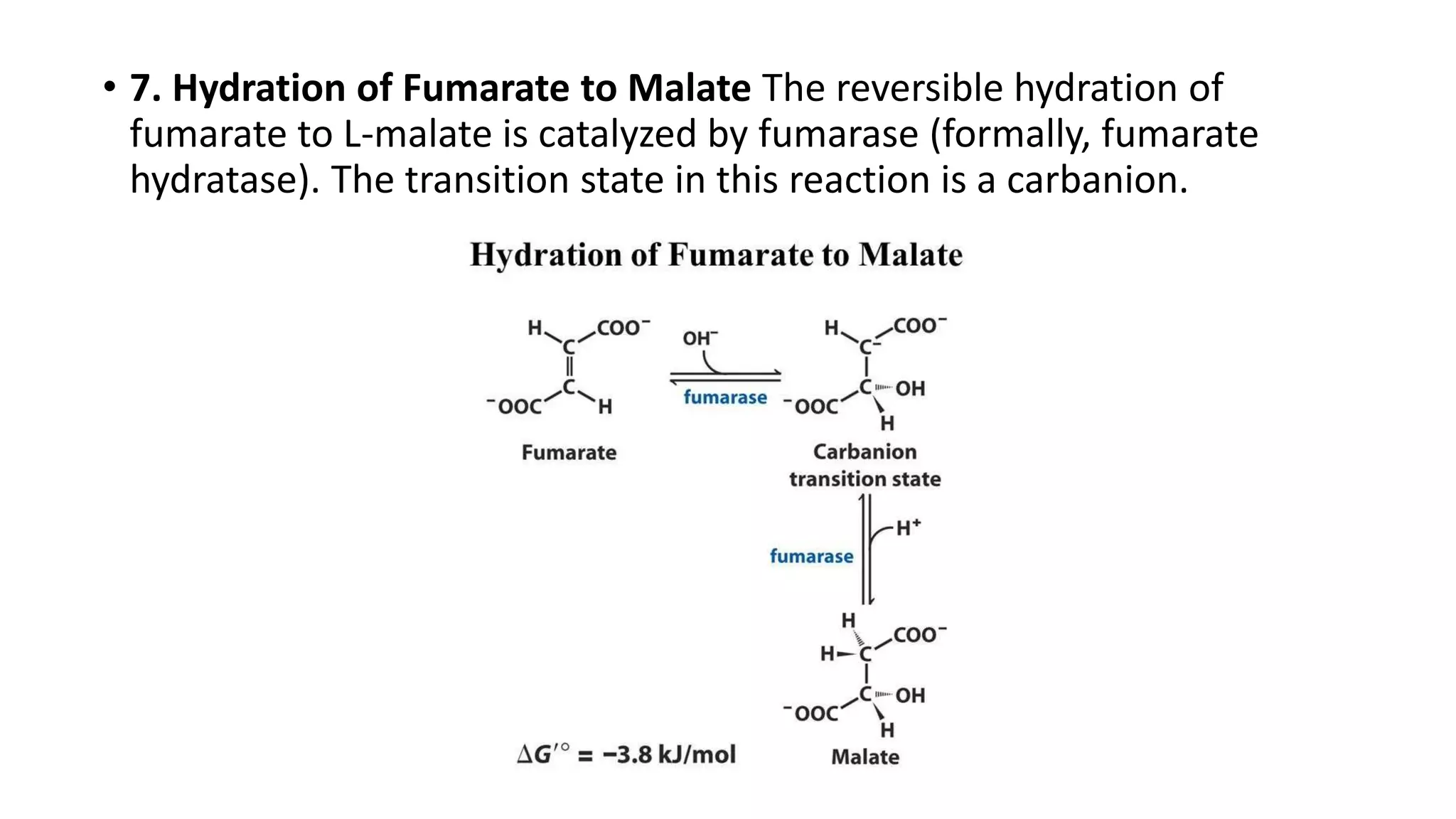 • 7. Hydration of Fumarate to Malate The reversible hydration of
fumarate to L-malate is catalyzed by fumarase (formally, fumarate
hydratase). The transition state in this reaction is a carbanion.
 
