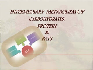 INTERMEDIARY METABOLISM OF
CARBOHYDRATES,
PROTEIN
&
FATS
 