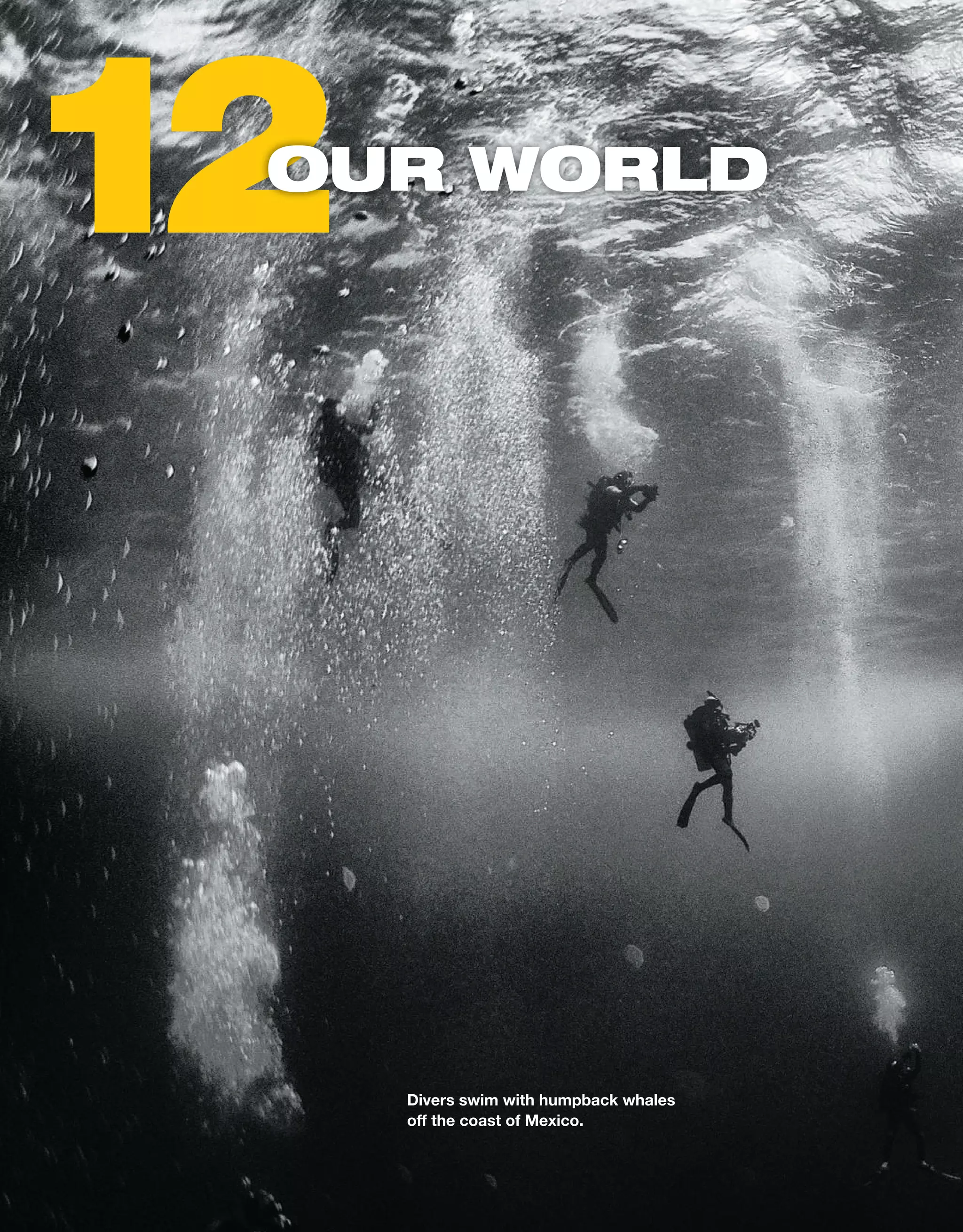 12
12
oUR WoRLd
Divers swim with humpback whales
off the coast of Mexico.
 