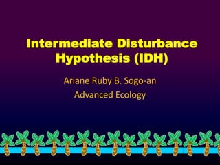 Intermediate Disturbance 
Hypothesis (IDH) 
Ariane Ruby B. Sogo-an 
Advanced Ecology 
 