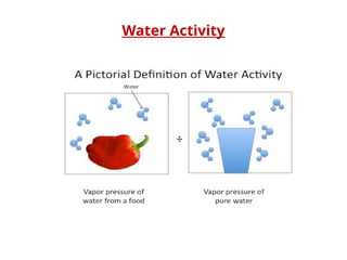 Water Activity
 