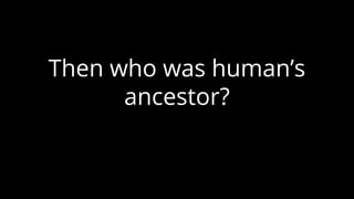Then who was human’s
ancestor?
 