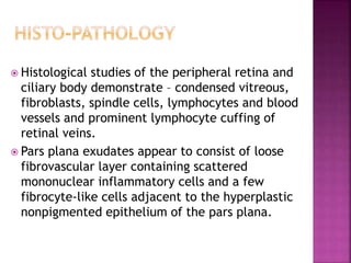  Histological studies of the peripheral retina and
ciliary body demonstrate – condensed vitreous,
fibroblasts, spindle cells, lymphocytes and blood
vessels and prominent lymphocyte cuffing of
retinal veins.
 Pars plana exudates appear to consist of loose
fibrovascular layer containing scattered
mononuclear inflammatory cells and a few
fibrocyte-like cells adjacent to the hyperplastic
nonpigmented epithelium of the pars plana.
 