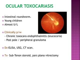  Intestinal roundworm.
 Young children
 Almost U/L
 Clinically p/w-
- Chronic toxocara endophthalmitis (leucocoria)
- Post pole / peripheral granuloma
 Dx-ELISA, USG, CT scan.
 Tx- Sub-Tenon steroid, pars plana vitrectomy
 