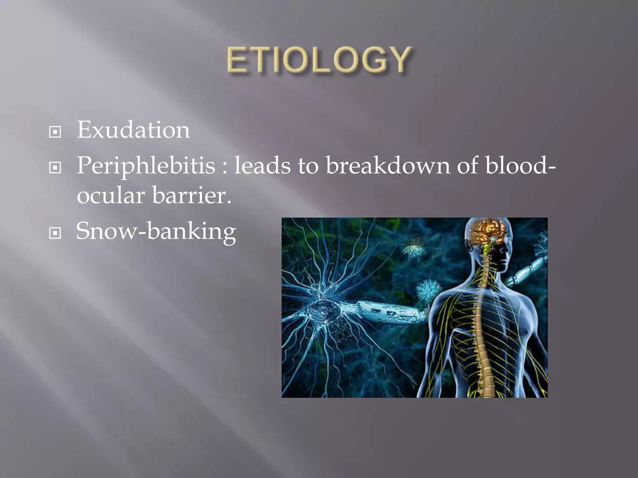  Exudation
 Periphlebitis : leads to breakdown of blood-
ocular barrier.
 Snow-banking
 