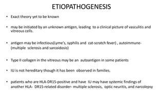 ETIOPATHOGENESIS
• Exact theory yet to be known
• may be initiated by an unknown antigen, leading to a clinical picture of vasculitis and
vitreous cells.
• antigen may be infectious(Lyme's, syphilis and cat-scratch fever) , autoimmune-
(multiple sclerosis and sarcoidosis)
• Type II collagen in the vitreous may be an autoantigen in some patients
• IU is not hereditary though it has been observed in families.
• patients who are HLA-DR15-positive and have IU may have systemic findings of
another HLA- DR15-related disorder- multiple sclerosis, optic neuritis, and narcolepsy
 
