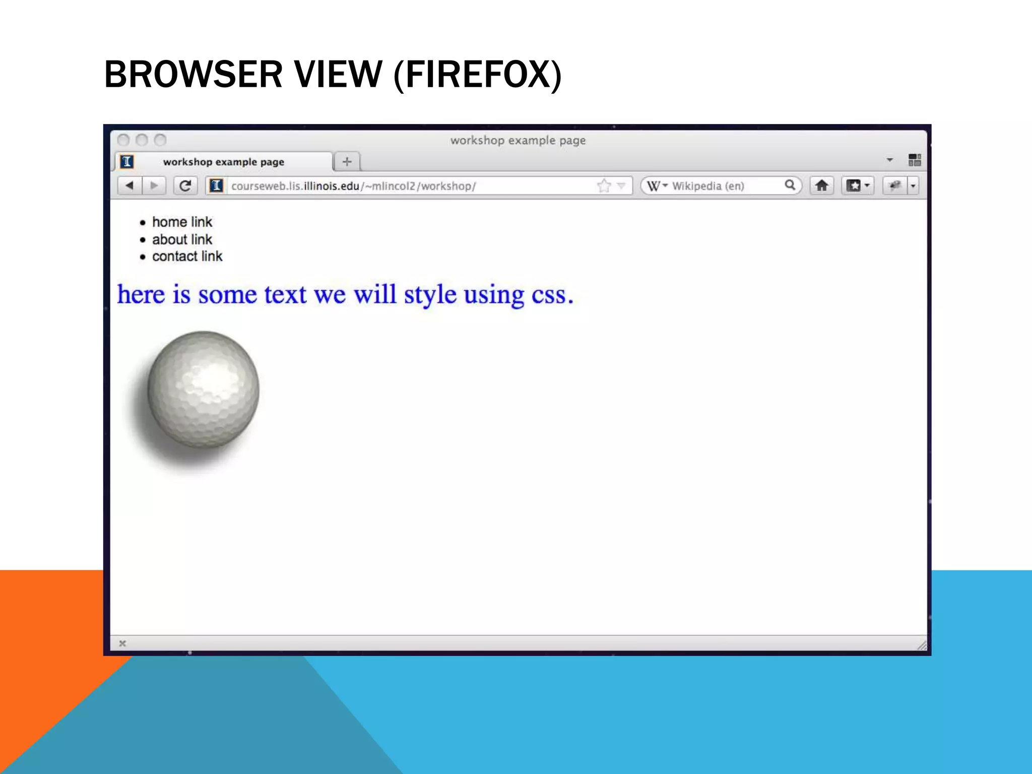 BROWSER VIEW (FIREFOX)
 