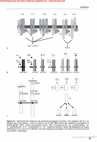 Telechargez plus de livres medicaux gratuits sur : www.doc-dz.com
 