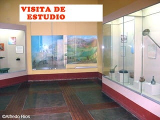 VISITA DE
 ESTUDIO
 