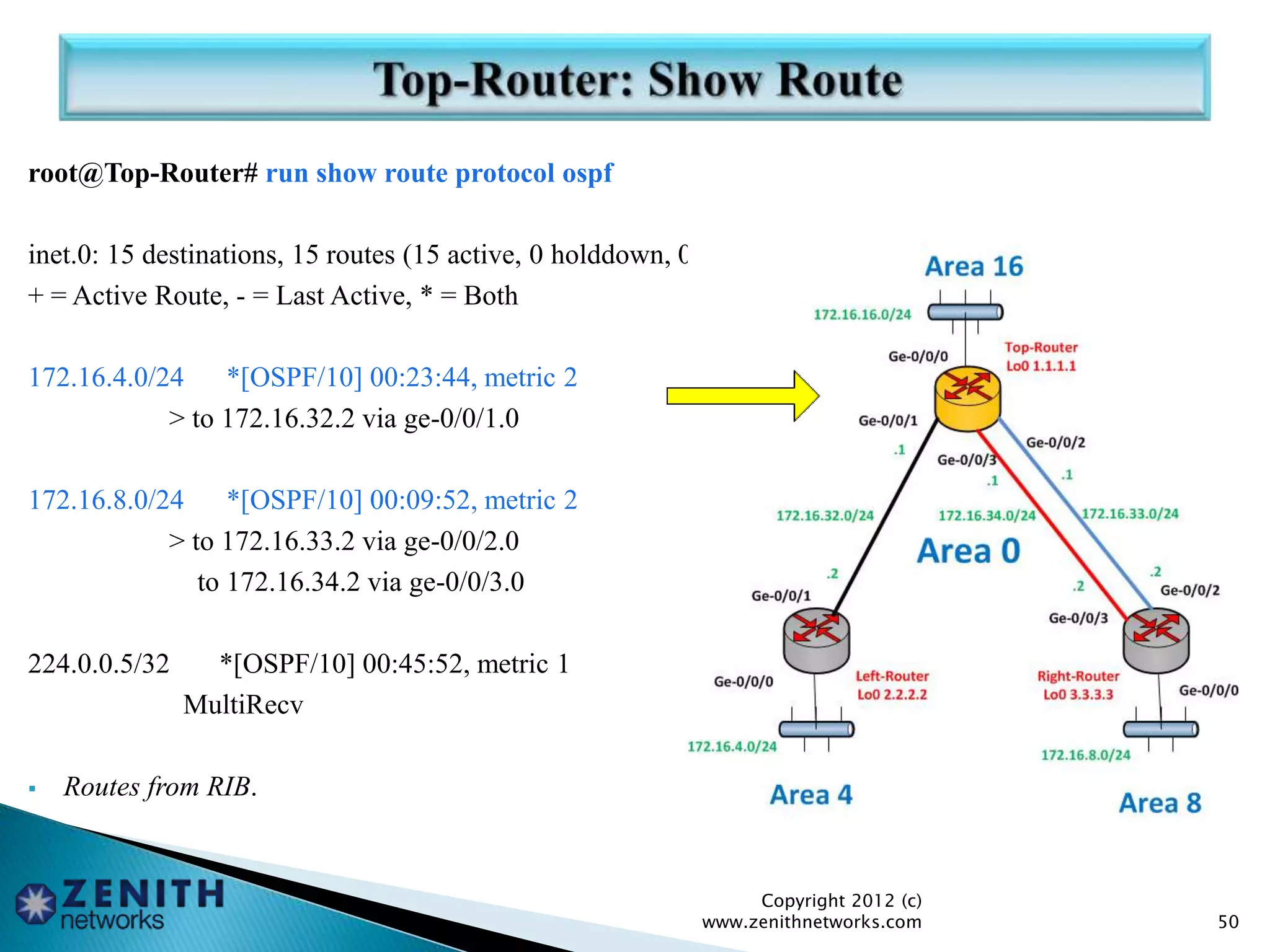 root@Top-Router# run show route protocol ospf
inet.0: 15 destinations, 15 routes (15 active, 0 holddown, 0 hidden)
+ = Active Route, - = Last Active, * = Both
172.16.4.0/24 *[OSPF/10] 00:23:44, metric 2
> to 172.16.32.2 via ge-0/0/1.0
172.16.8.0/24 *[OSPF/10] 00:09:52, metric 2
> to 172.16.33.2 via ge-0/0/2.0
to 172.16.34.2 via ge-0/0/3.0
224.0.0.5/32 *[OSPF/10] 00:45:52, metric 1
MultiRecv
 Routes from RIB.
Copyright 2012 (c)
www.zenithnetworks.com 50
 