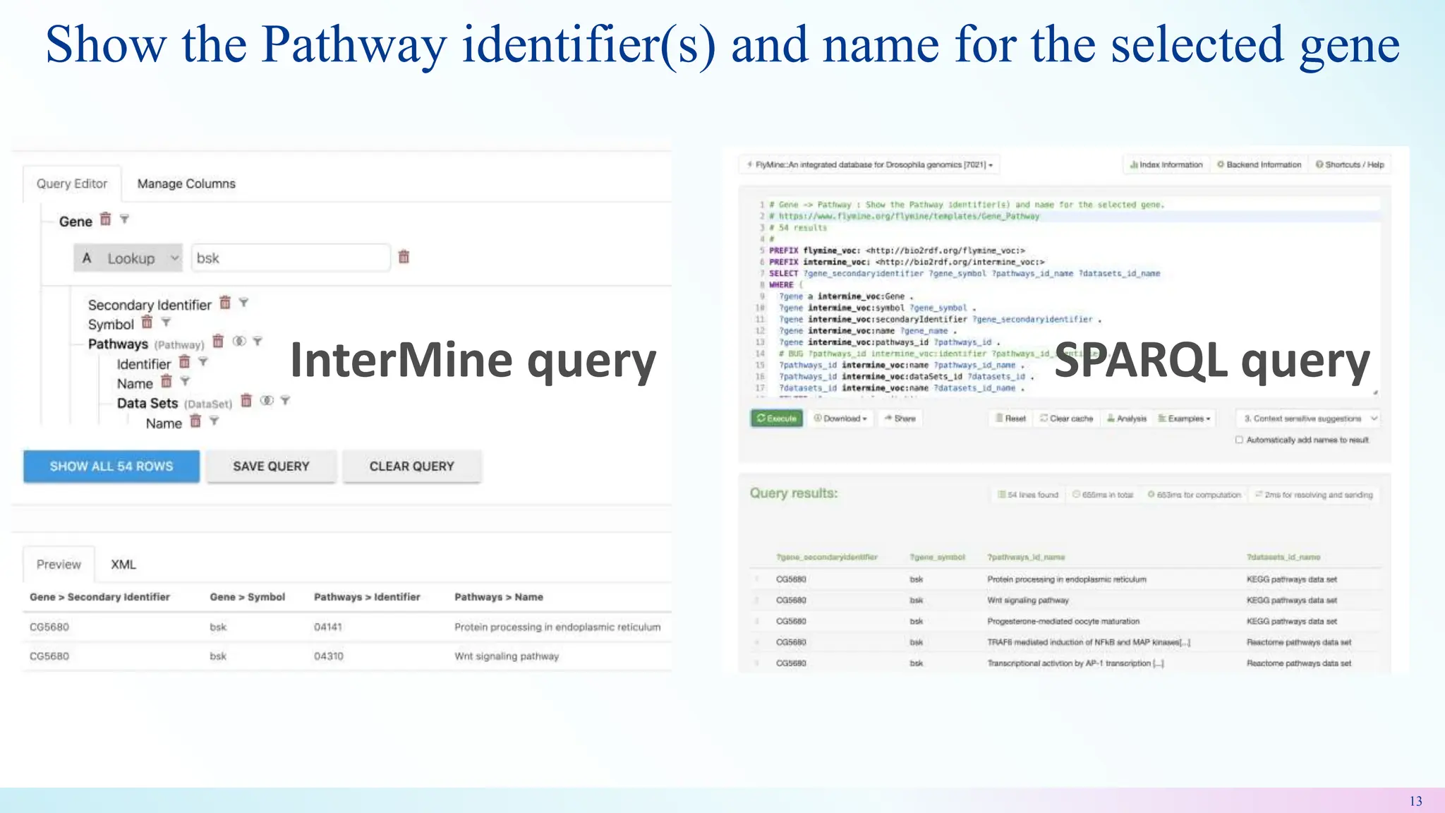 Show the Pathway identifier(s) and name for the selected gene
13
SPARQL query
InterMine query
 