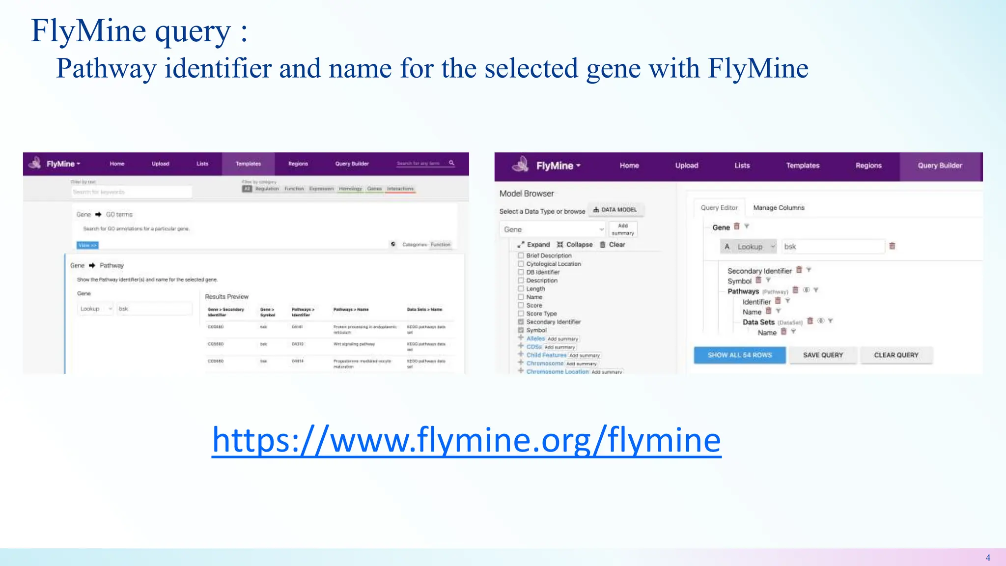 FlyMine query :
Pathway identifier and name for the selected gene with FlyMine
4
https://www.flymine.org/flymine
 