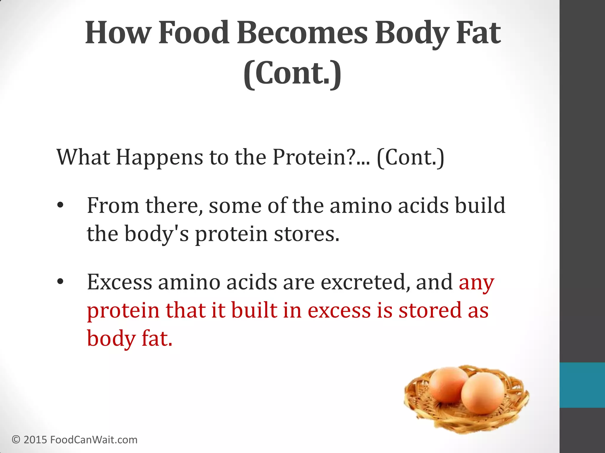 © 2015 FoodCanWait.com
What Happens to the Protein?... (Cont.)
• From there, some of the amino acids build
the body's protein stores.
• Excess amino acids are excreted, and any
protein that it built in excess is stored as
body fat.
How Food Becomes Body Fat
(Cont.)
 