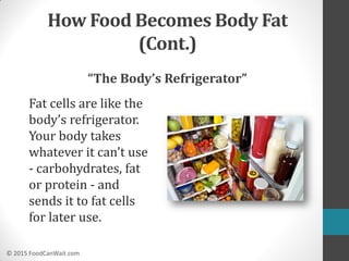Intermittent Fasting for Weight Loss and Wellness | Food Can Wait | PDF