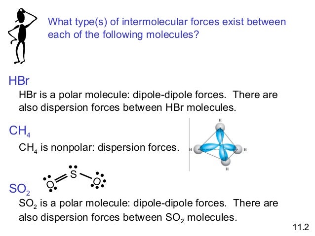 What intermolecular forces are present in each of the 