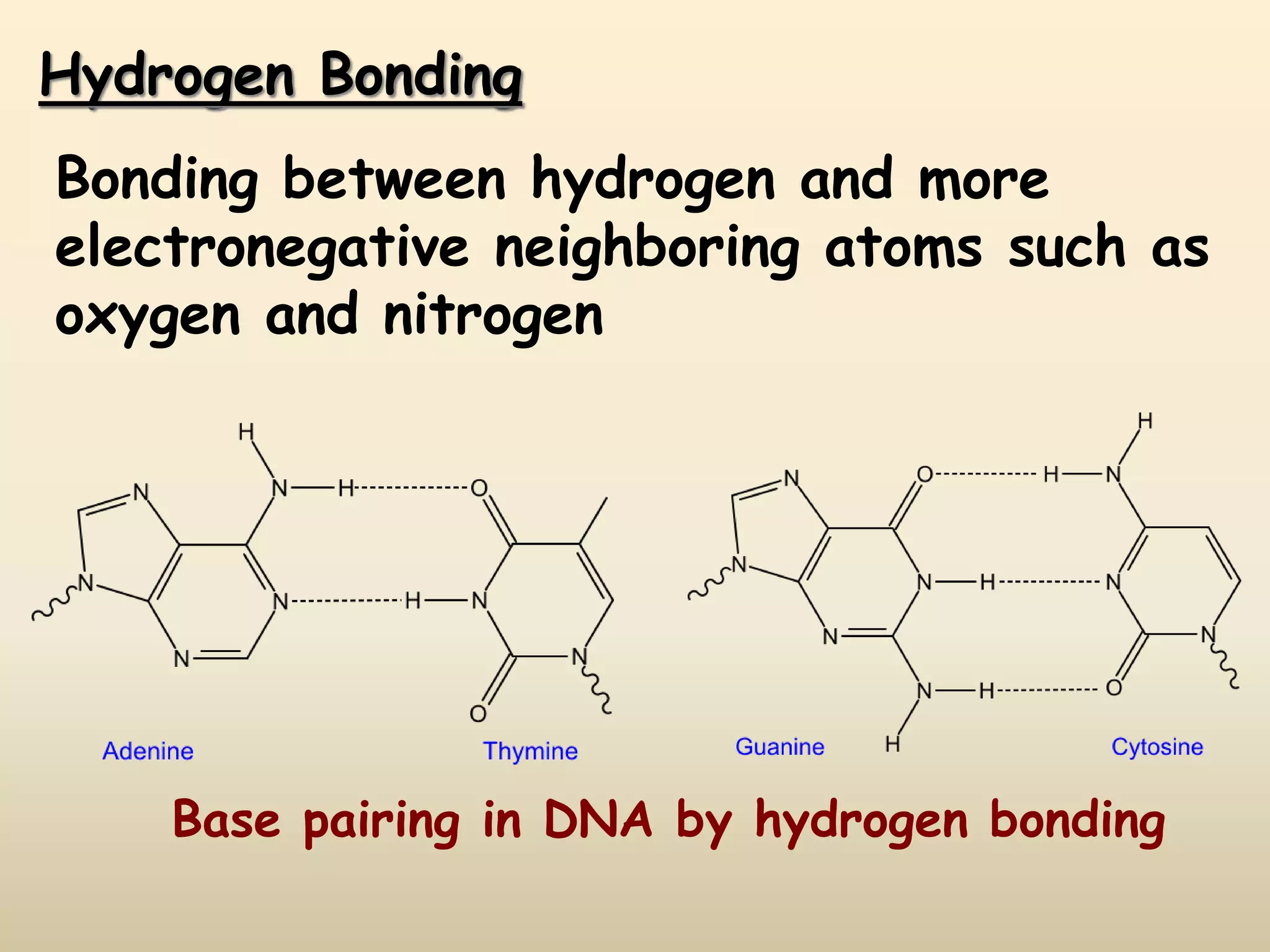 Hydrogen Bonding
Bonding between hydrogen and more
electronegative neighboring atoms such as
oxygen and nitrogen
Base pairing in DNA by hydrogen bonding
 