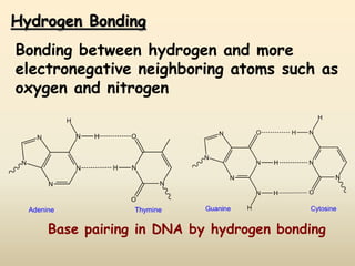Hydrogen Bonding
Bonding between hydrogen and more
electronegative neighboring atoms such as
oxygen and nitrogen
Base pairing in DNA by hydrogen bonding
 