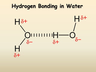 Hydrogen Bonding in Water
 